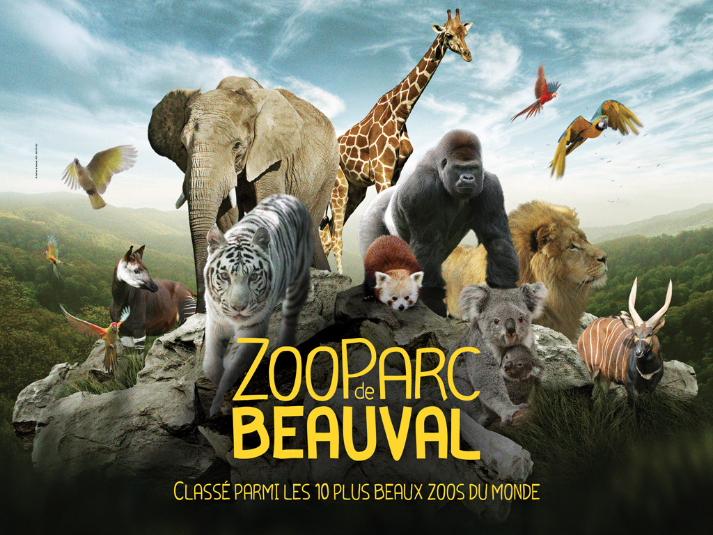 video presentation zoo de beauval